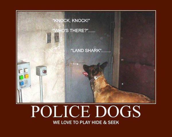 Land Shark.jpg
