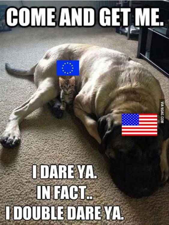 nato.thumb.jpg.783dbde30f342fd075bb2380b